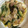 ななえ先生's cooksnap of when they made とろーり白菜と豚肉のオイスター炒め♫.