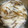 ななえ先生's cooksnap of when they made ♦とろろもずく.