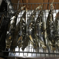 トン豚トン's cooksnap of when they made まとめて６尾！！尾がキレイ☆鯵の塩焼き♪.