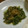 ✾MAI✾'s cooksnap of when they made ほうれん草の胡麻和え.
