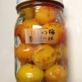 konijntjes's cooksnap of when they made 梅の蜂蜜漬け.