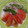 せつみか's cooksnap of when they made いんげんとツナ玉のサラダ？和えもの？.