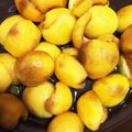 クック8KB7FJ☆'s cooksnap of when they made 簡単♪枇杷のコンポート.