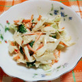ﾁｲﾁｬﾝﾏﾏ's cooksnap of when they made 白菜とごぼうのサラダ.