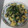 明日になれば♪'s cooksnap of when they made もやしとニラの卵炒め.