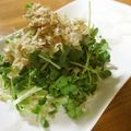 低カロ探検隊's cooksnap of when they made ちょいと一品★貝割れおかか.