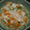 せつせつせつ's cooksnap of when they made 水菜の白和え.