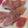 wata君の嫁's cooksnap of when they made ☆冷凍マグロの美味しい解凍法☆.