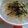 Reina6's cooksnap of when they made おかゆ（お茶漬けの素）.
