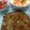 pomponn's cooksnap of when they made 簡単♪イワシのハーブ焼き☆.