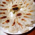 KSKAKI's cooksnap of when they made 簡単！シャンタン餃子.