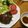 yokof46578's cooksnap of when they made 簡単で美味しい和風ハンバーグソース♪.