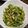 クックQ5IWPC☆'s cooksnap of when they made きゅうりとツナの和え物.