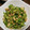 クックQ5IWPC☆'s cooksnap of when they made きゅうりとツナの和え物.