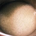 モケ缶's cooksnap of when they made 圧力鍋でおかゆ（お米から♫）離乳食にも◎.