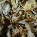 kujira1213's cooksnap of when they made 白菜と豚バラなべ.