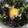 クックI6NLMD☆'s cooksnap of when they made 我が家のシラス丼ぶり.