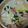 まな姫's cooksnap of when they made とろけるチーズで簡単☆焼きカプレーゼ.