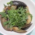 はいりほう's cooksnap of when they made レンジで一人分 茄子の煮浸し.
