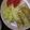 ★くまた★☆'s cooksnap of when they made 揚げない‼ヘルシー春巻き♪.