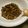 kucina's cooksnap of when they made パンにのせて！マッシュルームディップ！！.