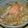 ルフィちん's cooksnap of when they made 鮭ときのこの炊き込みご飯.