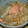 ルフィちん's cooksnap of when they made 鮭ときのこの炊き込みご飯.