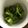 かぴーな's cooksnap of when they made セロリの浅漬け柚子こしょう風味.