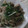 やまりんこ's cooksnap of when they made 簡単♪ 豚肉 ニラ もやしの 野菜炒め！.