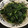 ルナＰボール's cooksnap of when they made 簡単★ほうれん草のおひたし.