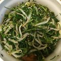 たいこたたきまま's cooksnap of when they made おかひじきともやしの酢の物.