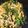 kotaro0329's cooksnap of when they made レンジで簡単♪ピーマンの煮びたし.