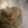 ＳＣＲＩＴ's cooksnap of when they made そのまんま＊冷凍しょうが　.