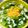 RIKOTORA's cooksnap of when they made レタスたっぷり♪　ミモザサラダ.