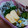 たにたーに's cooksnap of when they made 我が家の甘い卵焼き☆.