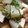 クックHUF31D☆'s cooksnap of when they made 簡単！　常備菜　厚揚げ　大根の　和風煮！.