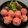 生鞍弥太郎's cooksnap of when they made 豆腐のふわふわまる揚げ♡オーロラソースで.