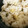 ねぞろ's cooksnap of when they made じゃがいもといんげんの炊き込みご飯.