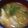 ねむりりす's cooksnap of when they made 具たっぷりチゲスープ.