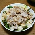 みーちゃん☆しーくん's cooksnap of when they made サラダ豚しゃぶ.