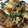 クック83T0DS☆'s cooksnap of when they made にらと水菜の卵とじ.