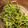 クックTM1B3C☆'s cooksnap of when they made 豆苗の胡麻和え 簡単！.