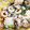 ぱりえってぃ's cooksnap of when they made 簡単！ニラとちくわのツナマヨ和え.