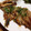 〜tinr～'s cooksnap of when they made 簡単‼イワシで蒲焼き.