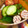 ccccccc7's cooksnap of when they made きゅうりの浅漬け.