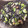 クック5RJE58☆'s cooksnap of when they made 簡単✨ひじき&枝豆ちくわのサラダ.