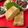 もりあん農園's cooksnap of when they made ふわふわ甘甘卵焼き.