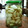 ちょびちん's cooksnap of when they made らっきょうの甘酢漬け.
