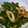 クックNM57TE☆'s cooksnap of when they made ピーマンとちくわのきんぴら.