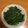 a0imama♡'s cooksnap of when they made 春菊の胡麻和え.